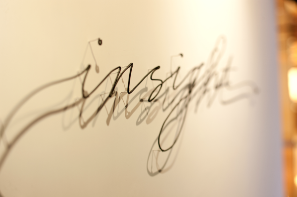 Insight 3